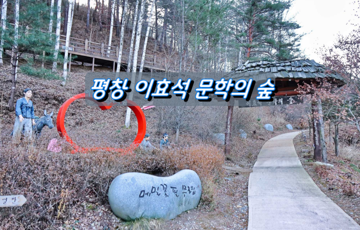 소설 메밀꽃 필 무렵과 함께하는 이효석 문학의 숲 소설 메밀꽃 필 무렵과 함께하는 이효석 문학의 숲