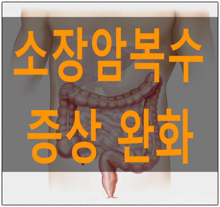 소장 암 복수 증상이 개선될 수 있는 방향은?