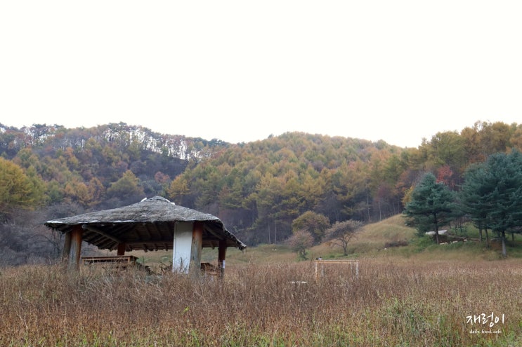  청주 근교 가볼만한곳, 추정리 메밀밭 주차팁