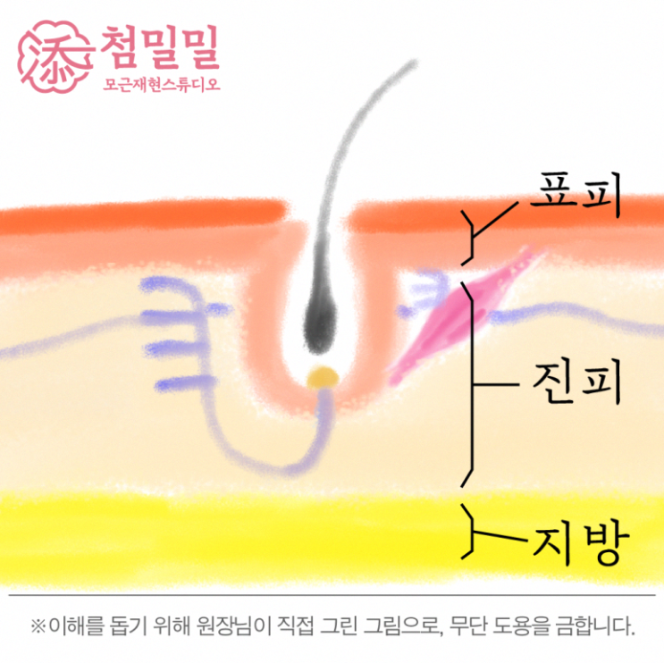 안동 두피 SMP 유지 지속 기간, 10년이상 지속되는 비밀 공개