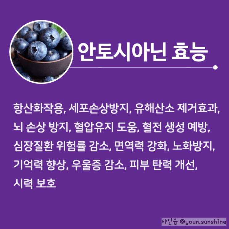 눈건강 영양소 '안토시아닌'이 중요한 이유, 효능 풍부한 음식