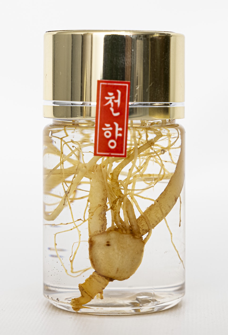 천지산 사진 6