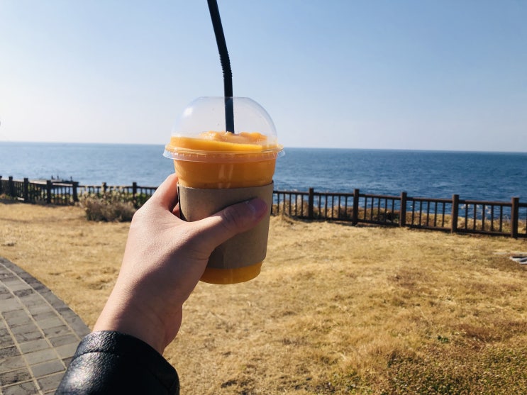  마라도 카페추천 마라로79 마라도 뷰좋은 카페