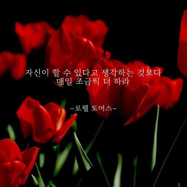  부거사이 [부동산 뉴스와 블로그] 11월 23일(화)