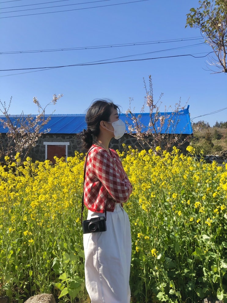  제주