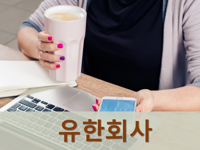  1인 유한회사 설립절차, 장단점 모르면 나만 손해!!