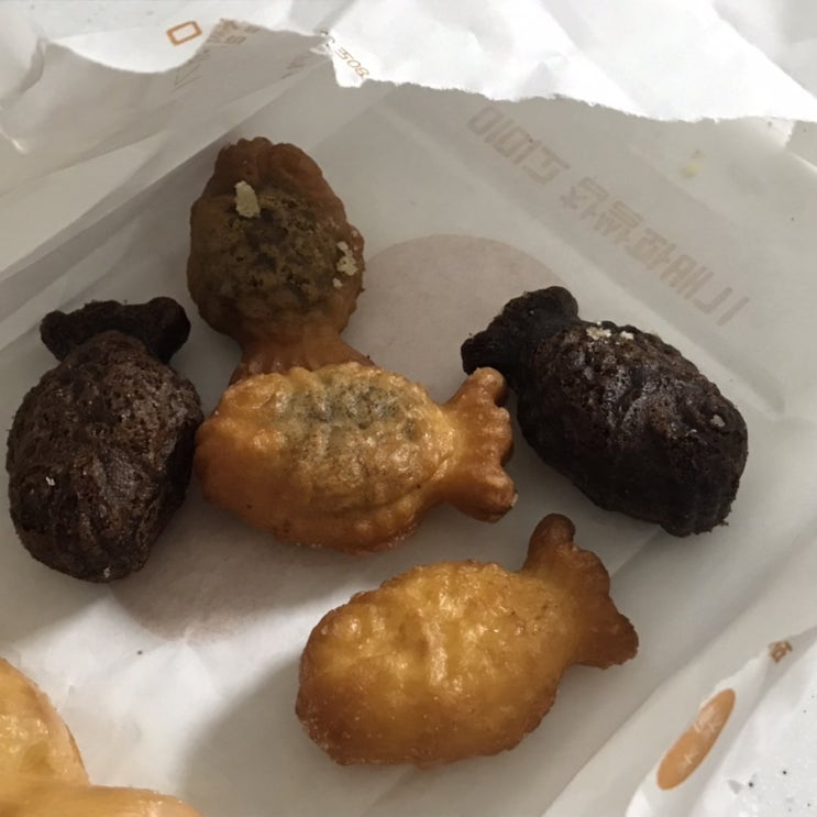 (10월 - 11월) 일상