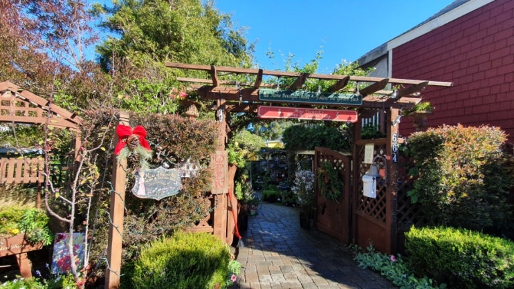  Miss Trawick's Garden Shop( 퍼시픽 그로브 중심가에 있는가든)