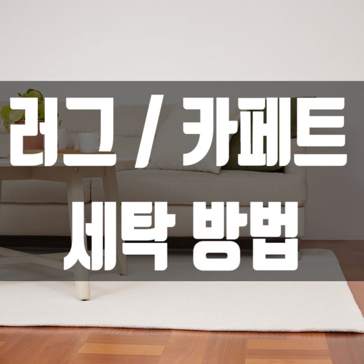  [인테리어 꿀팁] 러그 / 카페트 깔끔하게 세탁하는 방법!