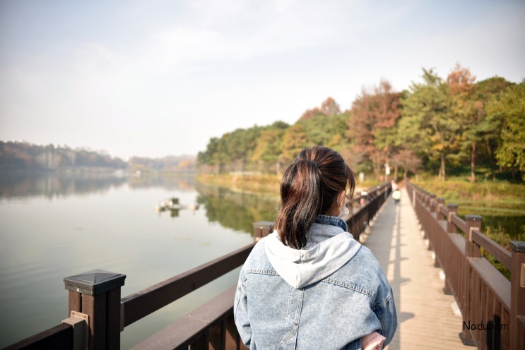 광주 풍암호수공원 생태연못 자연관찰