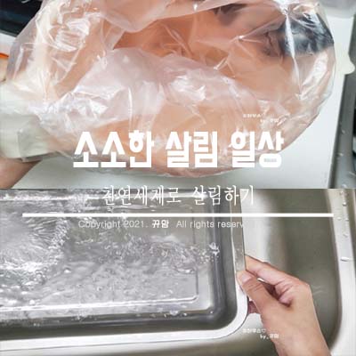  소소한 살림으로 시작하는 일상