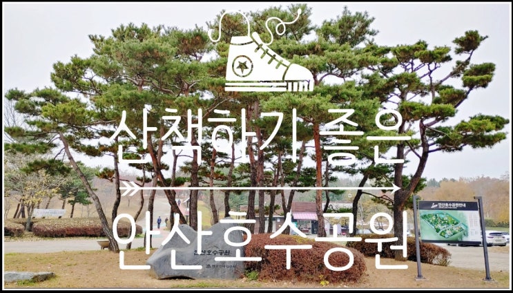 서울근교드라이브 - 가을 산책하기 좋은 안산호수공원