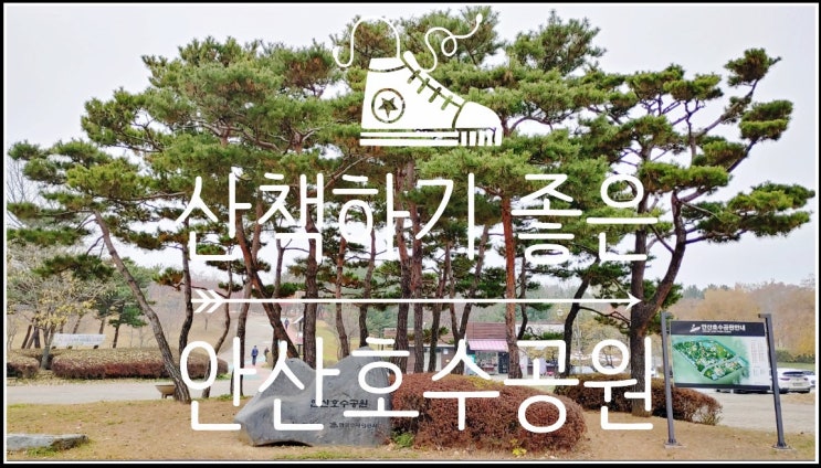  서울근교드라이브 - 가을 산책하기 좋은 안산호수공원