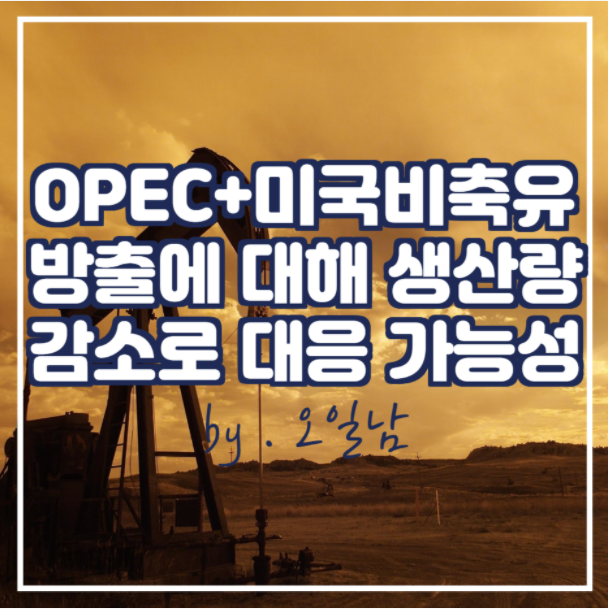 OPEC+는 석유 소비 국가의 비축 원유 방출에 대응하여 공급을 감소시킬 가능성 有