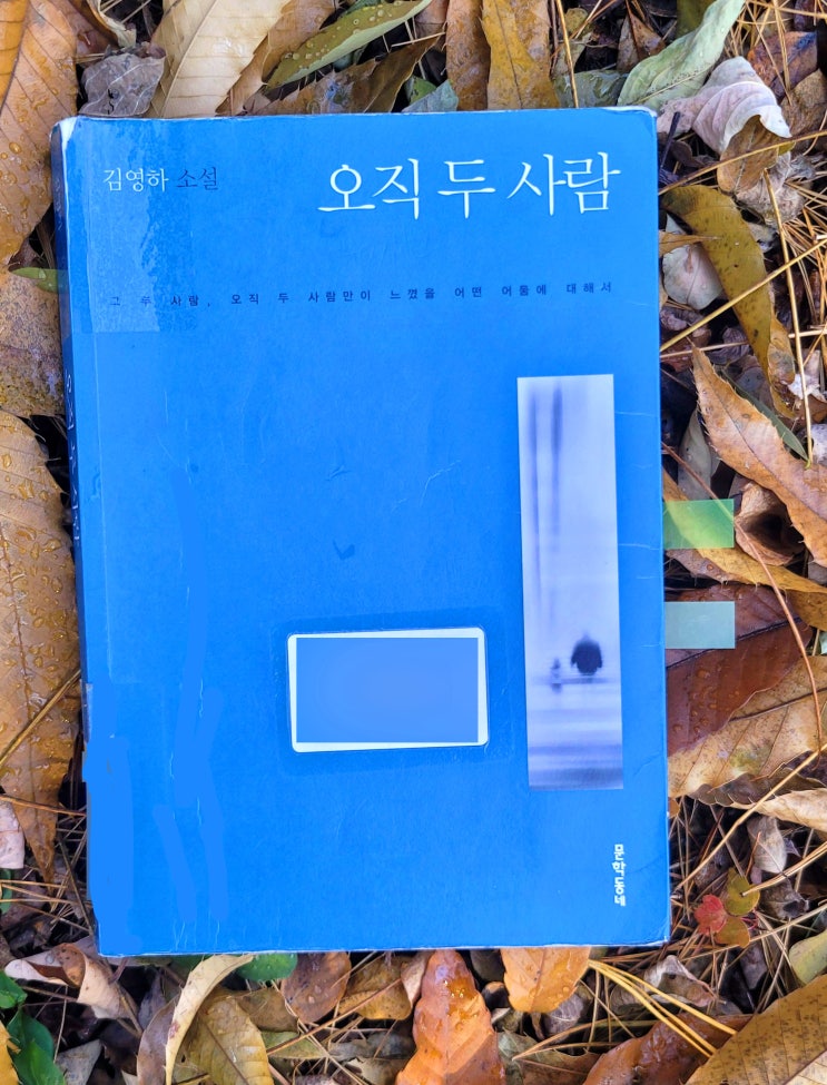  아이를 찾습니다 재방송 원해? 소설 오직 두 사람으로 결말 보자