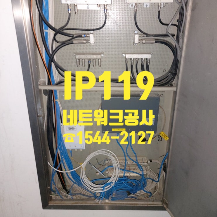  네트워크공사 천장부터 꼼꼼하게 해드렸습니다/ 회사 네트워크 공사 전문업체 이용해보세요