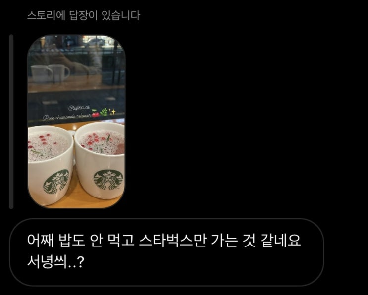  베짱이 일기