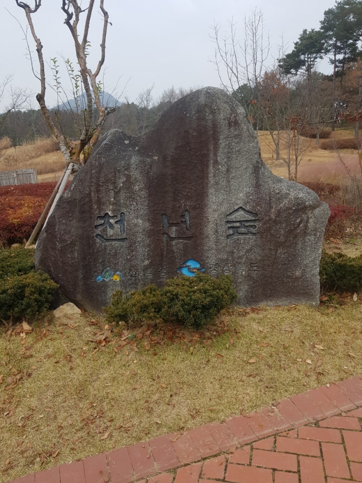  안동 놀만한 곳 "천년 숲"