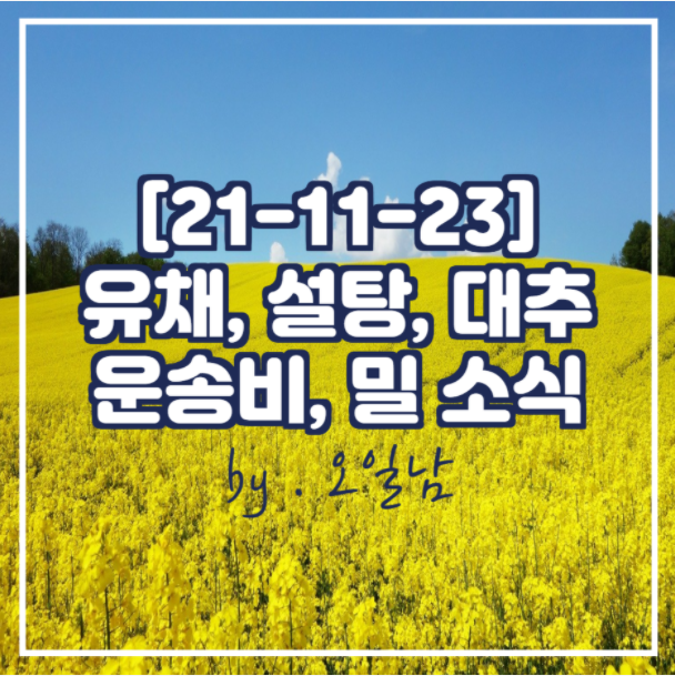  유채, 설탕, 대추, 운송비, 밀 소식