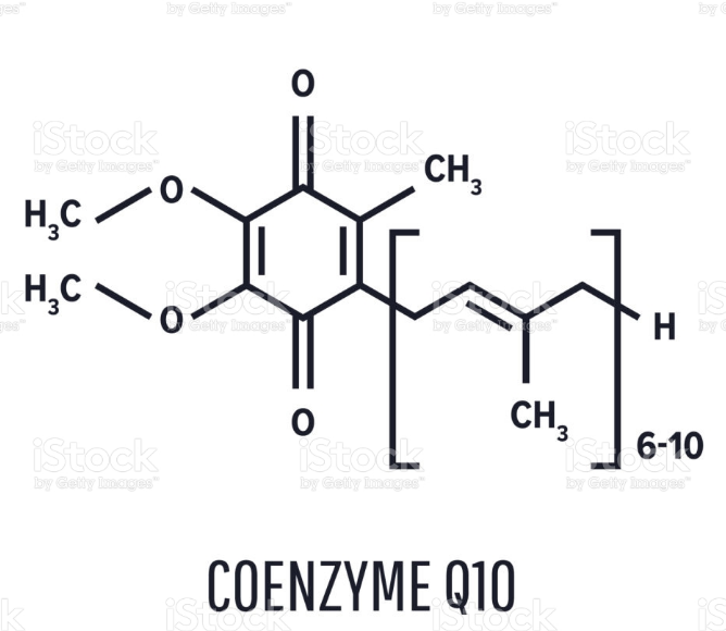 코엔자임 Q10(Coenzyme Q10, CoQ10)의 효능, 코엔자임큐텐이 풍부한 음식, 복용 시 주의사항