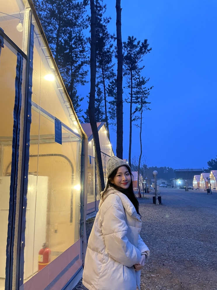  태안캠핑장 신두리정원오토캠핑장 무조건 추천해요 :) 태안에서 제일 크고 예쁜 소나무숲까지 행복했던 기록 