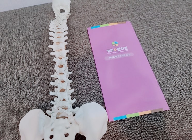 영통추나요법 척추분리증, 늦기전에 한의원에서 치료받으세요 영통추나요법 척추분리증, 늦기전에 한의원에서 치료받으세요