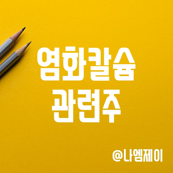 염화칼슘 관련주 - 태경비케이 백광산업 유진기업 OCI (국내 제설제 시장규모) 염화칼슘 관련주 - 태경비케이 백광산업 유진기업 OCI (국내 제설제 시장규모)