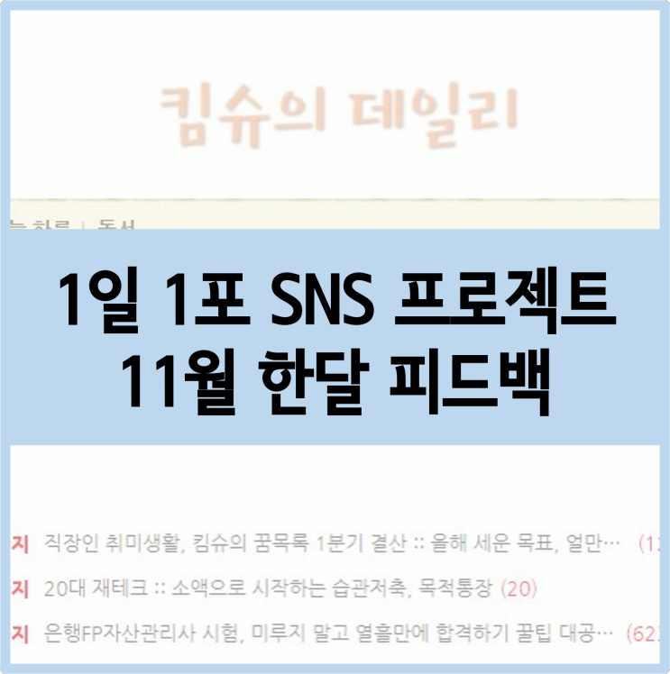  1일 1포 SNS 프로젝트 :: 11월 한달 피드백, 애드포스트 수익이 즐거웠던 한 달