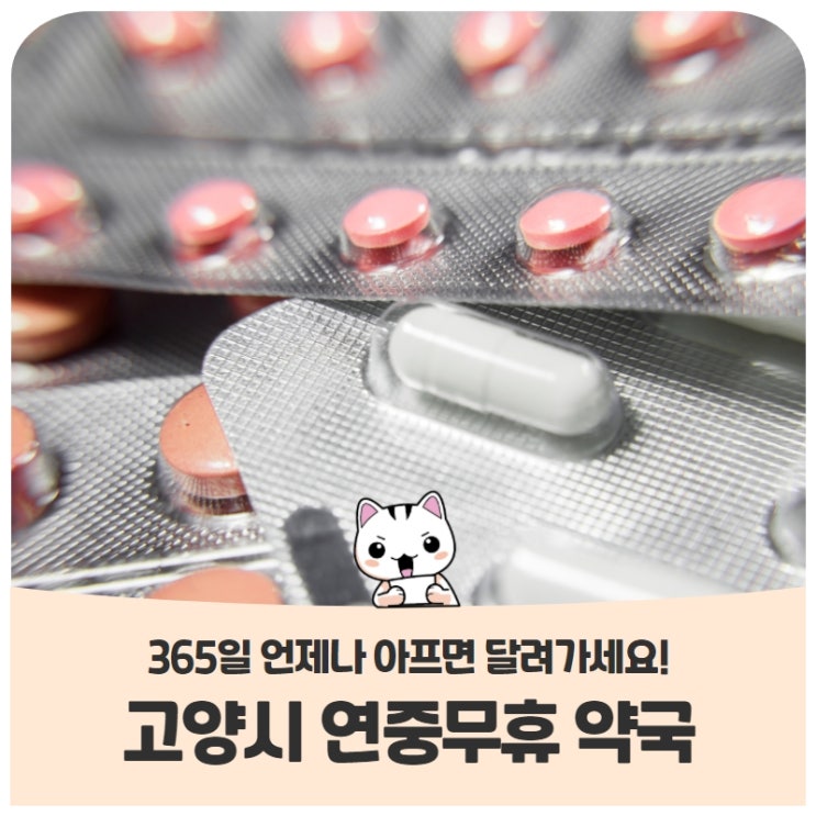 365일 언제나 아프면 달려가세요, 고양시 연중무휴 약국 365일 언제나 아프면 달려가세요, 고양시 연중무휴 약국