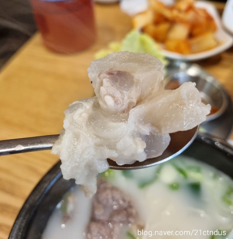 장안동 한촌설렁탕 : 겨울에 어울리는 설렁탕과 도가니탕 먹방기 -