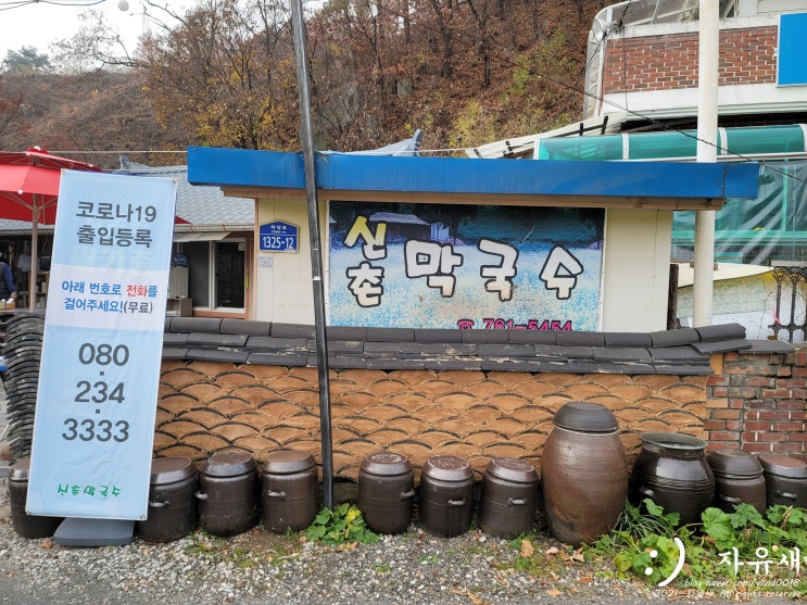  원주 신촌막국수 치악산 맛집 감자옹심이 메밀칼국수 최고