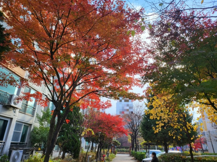  매일 한 줄 일기쓰기 - 11.24 (오래된 노래, 커피와 핫초코, 오늘의 필사)