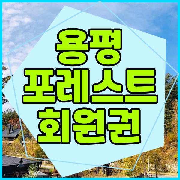  용평 포레스트콘도회원권으로 럭셔리한 삶을 이어갑니다.