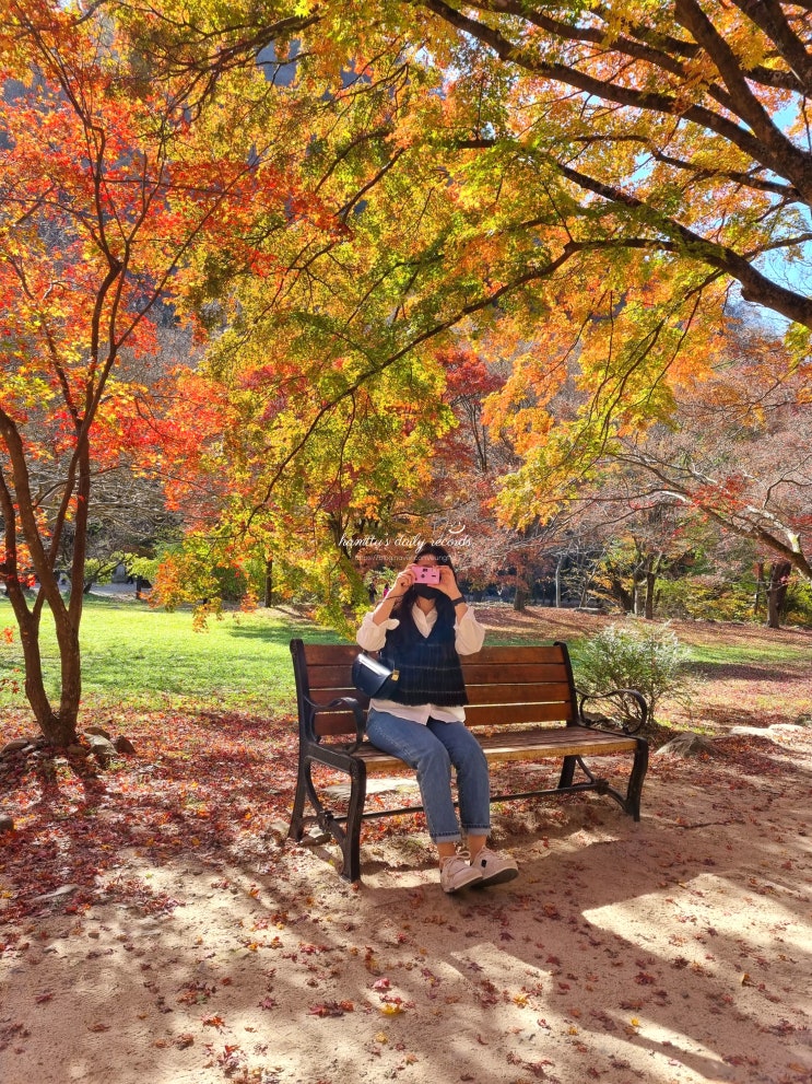 [정읍 여행] 가을 대표 단풍 명소 '내장산 국립공원'