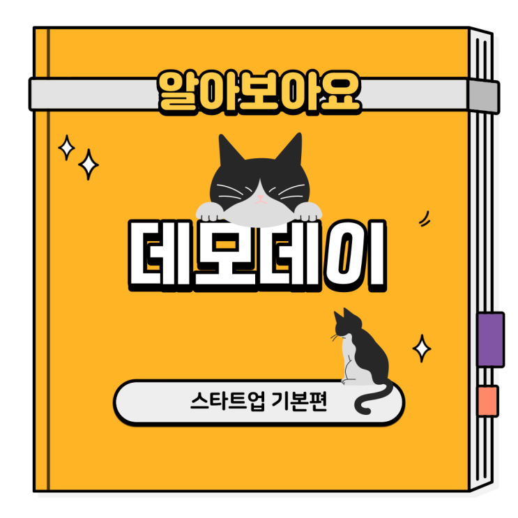  제품의 평가와 투자유치를 위한 행사, 데모데이