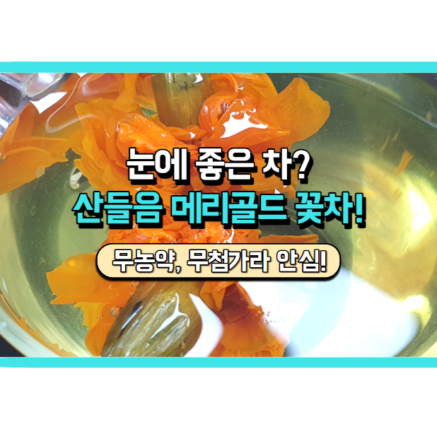  눈에 좋은 유기농 메리골드 꽃차, 산들음에서 찾으세요!