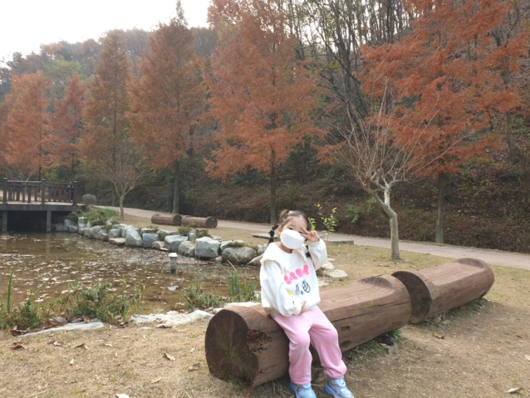  자드락숲 놀이터 돗자리 들고 단풍 구경_ 울산 언양 아이와 가볼만한곳