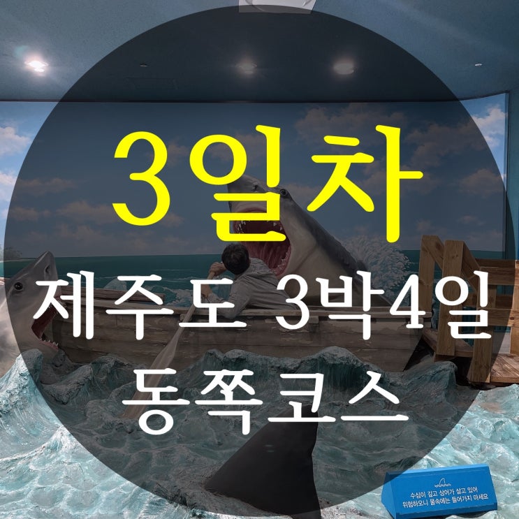  [제주도 3박4일 여행 3일차 동쪽코스] 다정이네김밥, 온평 바다한그릇, 쇠소깍 테우, 성산일출봉, 섭지코지, 아쿠아플라넷, 칠돈가, 광치기해변