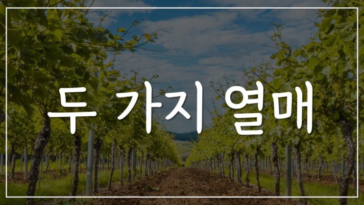 두 가지 열매 두 가지 열매