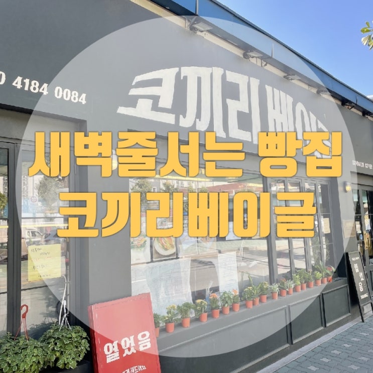  3대 베이글 맛집] 코끼리베이글 재도전 주말 오픈런