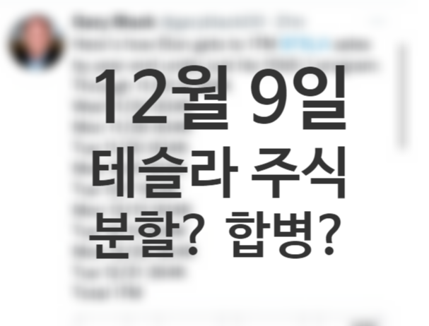 일론머스크 매도 934091 의미 뜻, 주식분할 스페이스X 회사합병, 12월 9일 테슬라 주가 전망 (+게리블랙 트윗) 일론머스크 매도 934091 의미 뜻, 주식분할 스페이스X 회사합병, 12월 9일 테슬라 주가 전망 (+게리블랙 트윗)