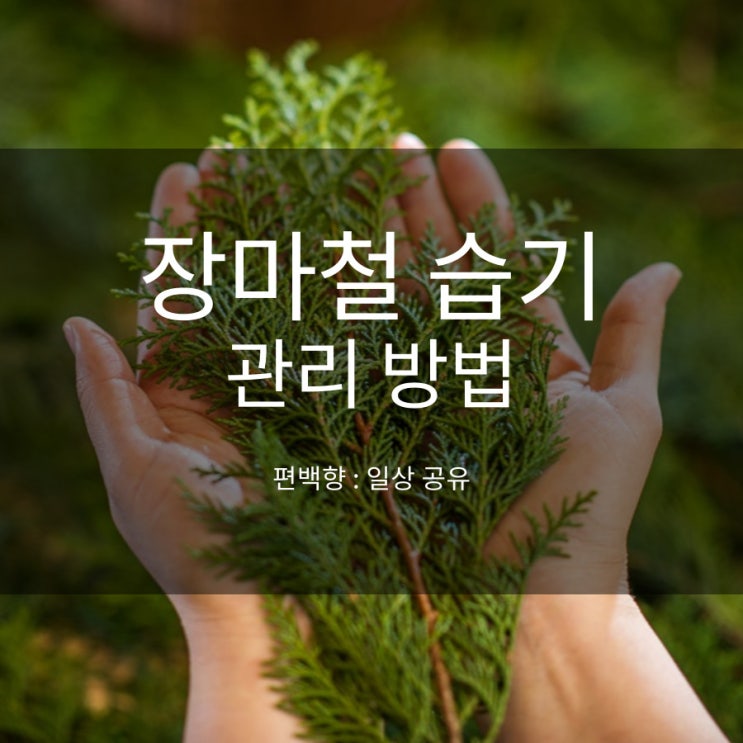  장마철 습기 꿉꿉한 냄새 이렇게 했더니