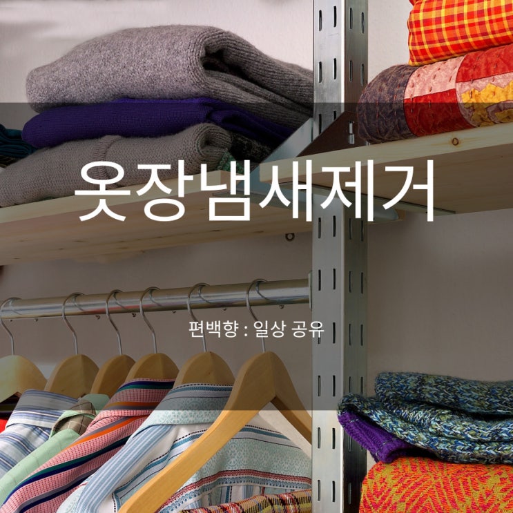  옷장냄새제거 천연탈취제 확실하게 잡아주네요