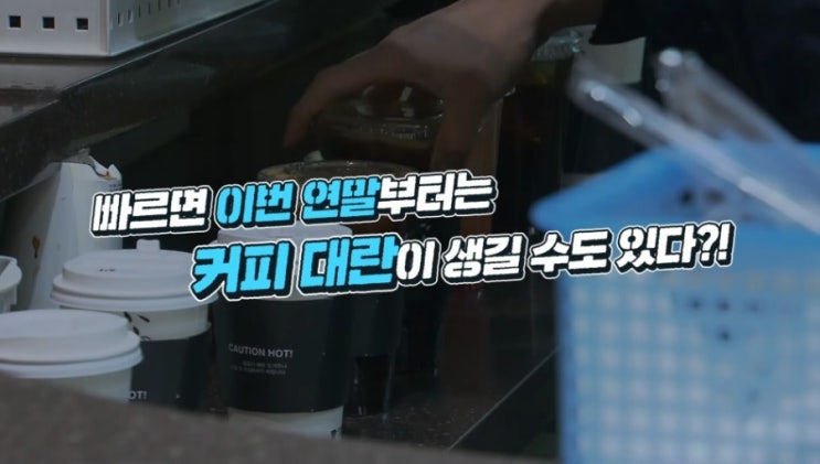  기후 변화 때문에 커피 대란이 올수도!