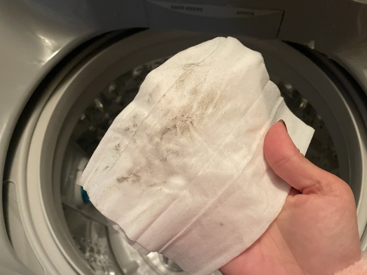 온스테이 세탁조 클리너 세탁기 통세척 해봤어요