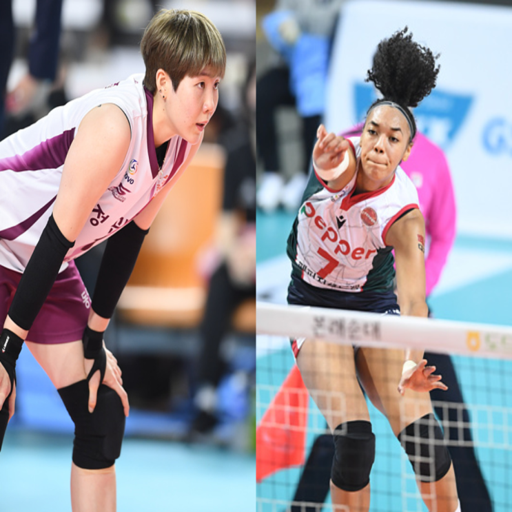 여자배구 인삼공사 페퍼저축은행 11월25일 경기예상(이소영 옐레나 한송이 엘리자벳 이한비 박은서)