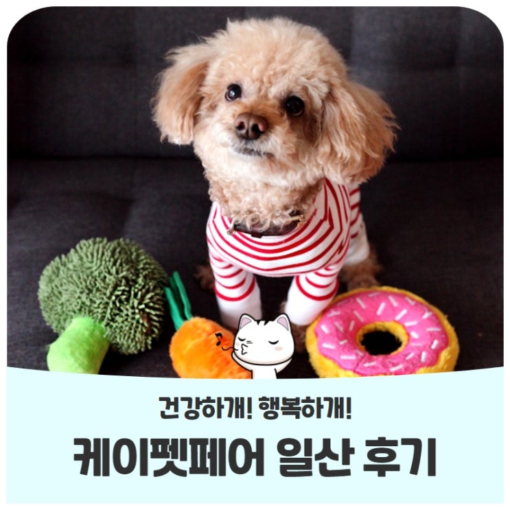 케이펫펫어 일산오래오래 건강하개! 두루두루 행복하개! 케이펫펫어 일산오래오래 건강하개! 두루두루 행복하개!