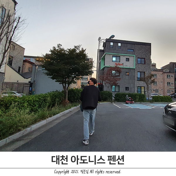 대천 아도니스 펜션 내돈내산 만족쓰 대천 아도니스 펜션 내돈내산 만족쓰