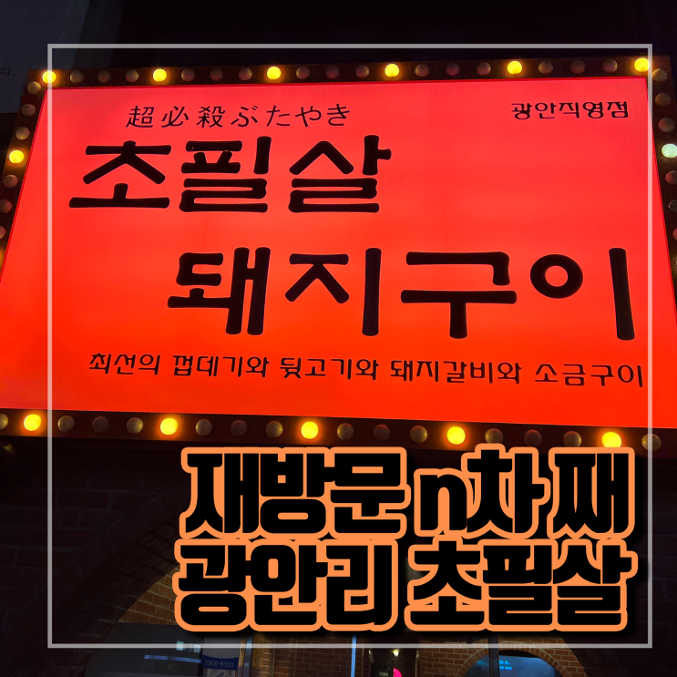  [부산/광안리] 재방문이 국룰 껍데기 맛집 / 초필살