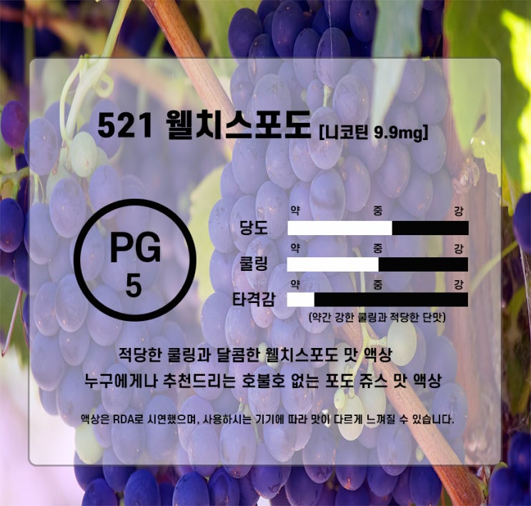  521 웰치스포도